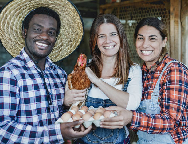 istock Happy farmer multiracial people with chicken and fresh ecologic eggs - Multi generational working people smiling in camera 1308691599