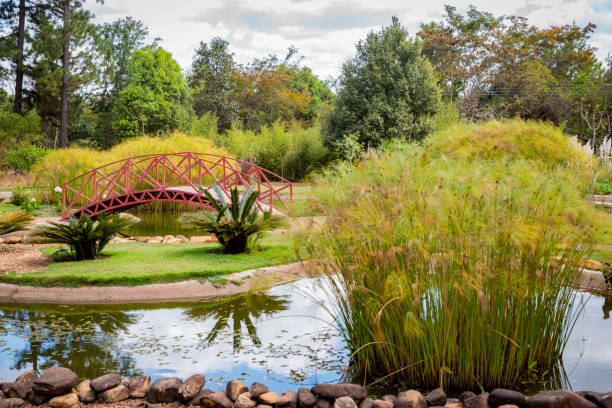 istock garden calls for meditation 1308695528