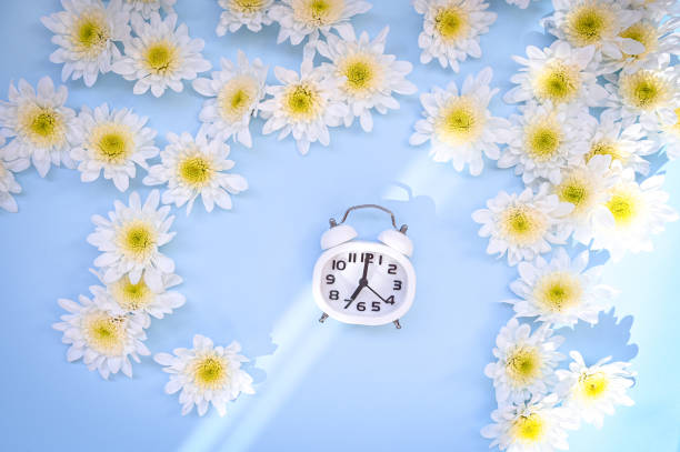 istock Wake up early concept. Flowers background with alarm clock 1308698662