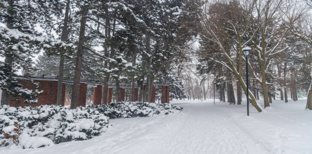 istock Hamilton - Gage Park in the Winter 1308701710