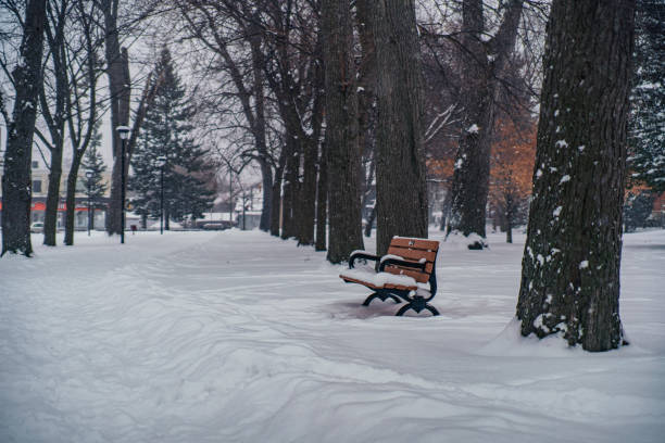 Hamilton - Gage Park - Snow Covered Park Bench in the Wintertime