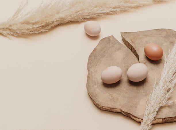 istock Brown dried pampas grass and eggs on natural beige background. Zero waste easter concept. Eco friendly lifestyle, copy space 1308703409