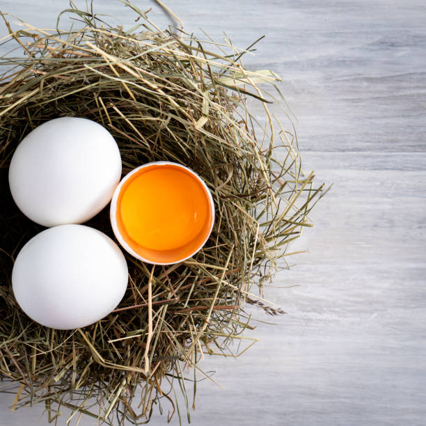 istock Closeup raw white brown organic fresh eggs shell with yolk from happy chicken hen free range farm on nature hatch grass straw nest healthy protein food symbol of spring season birth easter festival 1308706630