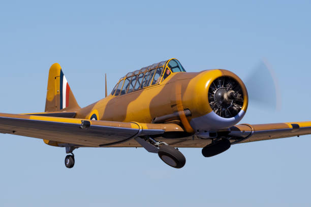 Tyabb, Australia - March 9, 2014: North American T-6 (Noorduyn AT-16) Harvard VH-TXN single engine military training aircraft from World War II taking off from Tyabb Airport.