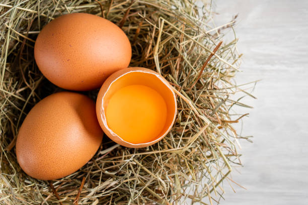 istock Closeup raw white brown organic fresh eggs shell with yolk from happy chicken hen free range farm on nature hatch grass straw nest healthy protein food symbol of spring season birth easter festival 1308706824