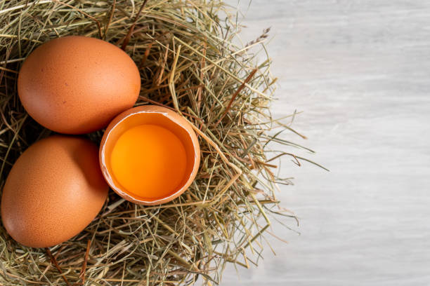 istock Closeup raw white brown organic fresh eggs shell with yolk from happy chicken hen free range farm on nature hatch grass straw nest healthy protein food symbol of spring season birth easter festival 1308706854