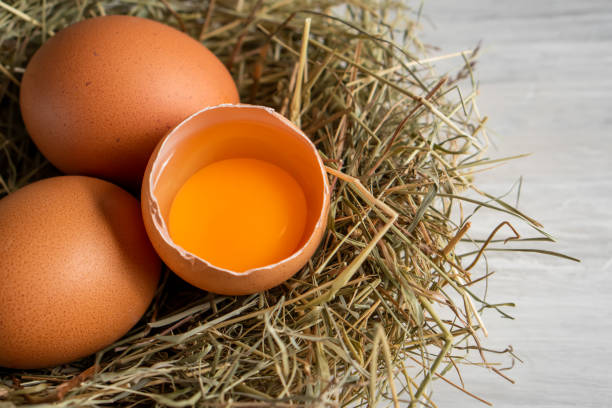 istock Closeup raw white brown organic fresh eggs shell with yolk from happy chicken hen free range farm on nature hatch grass straw nest healthy protein food symbol of spring season birth easter festival 1308706878