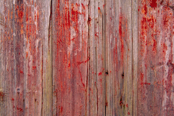 Grunge old wood door textured background