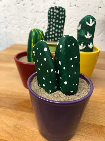 Homemade stone cacti