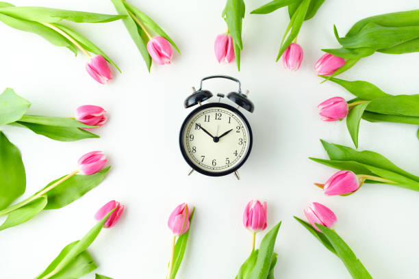 wiosna płaska leżała z tulipanami i budzikiem na stole - table time clock clock face zdjęcia i obrazy z banku zdjęć