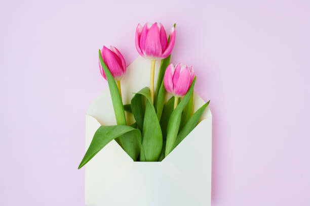 istock spring flat lay with letter and tulips on pink 1308719854