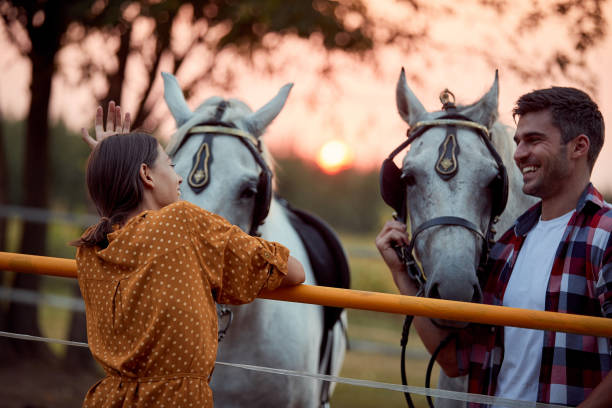 smiling couple on the ranch at sunset preparing their horses for a ride - serbia horse nature landscape imagens e fotografias de stock