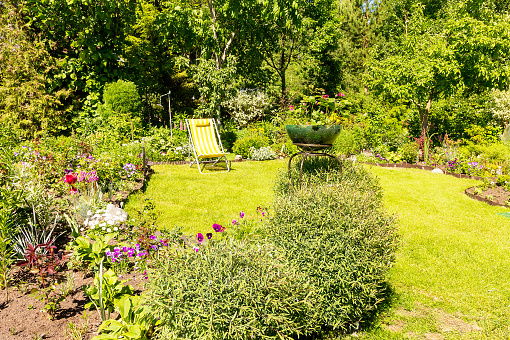 Summer garden plot with a green lawn and a sun lounger among various flowers and plants.