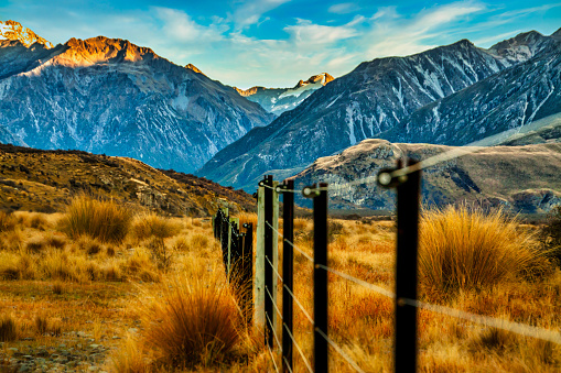 Rural farm fencing running through the valley towards the snow covered Southern Alps in the background