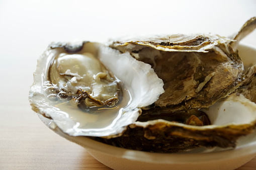 Cooking using oysters harvested at Lake Akkeshi