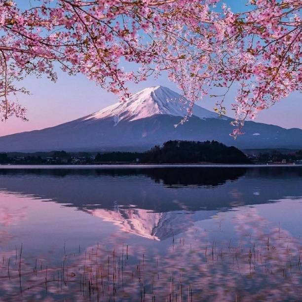 la colorata stagione autunnale e il monte fuji con nebbia mattutina e foglie rosse sul lago kawaguchi è uno dei posti migliori in giappone - volcano mt fuji autumn lake foto e immagini stock