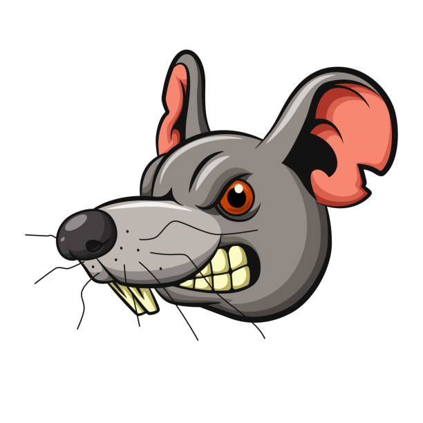 怒っているマウスヘッドマスコット - cruel点のイラスト素材／クリップアート素材／マンガ素材／アイコン素材