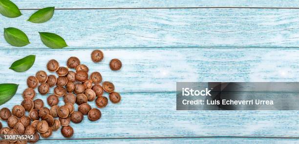 Plukenetia Volubilis Dried Seeds Of Sacha Fruit Inchi Peanuts Stock Photo - Download Image Now