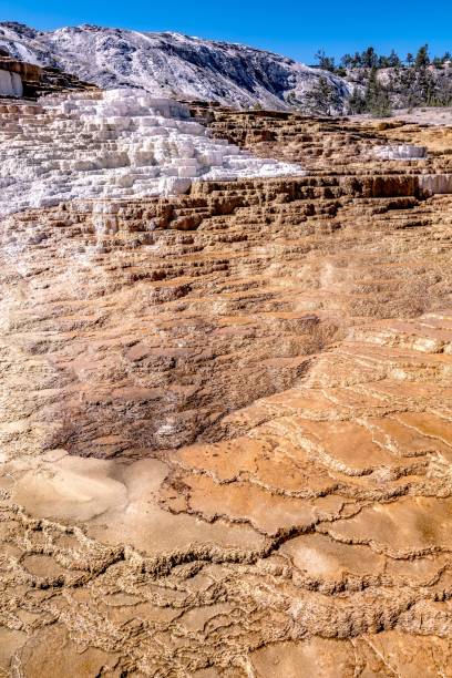 istock beautiful scenery at mammoth hot spring in yellowstone 1308746985