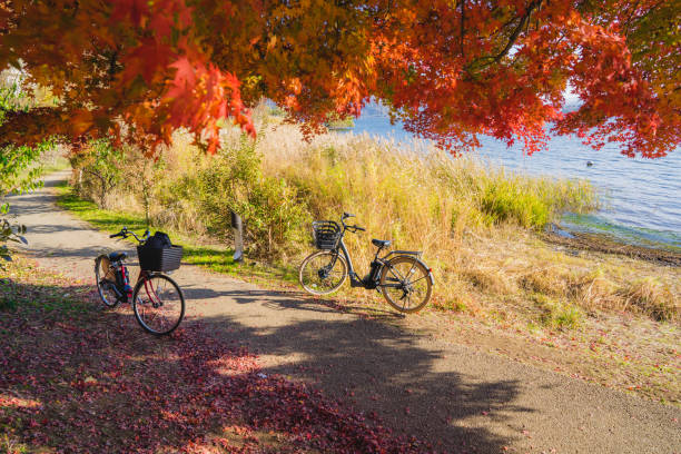 istock Bicycle sight seeing during autumn in Japan 1308747121