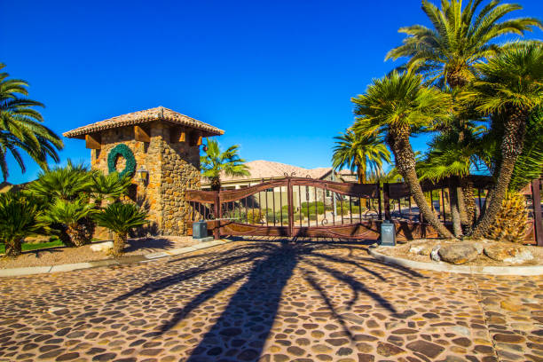 istock Metal Gates On Cobblestone Drive Surrounded By Palm Trees 1308748700