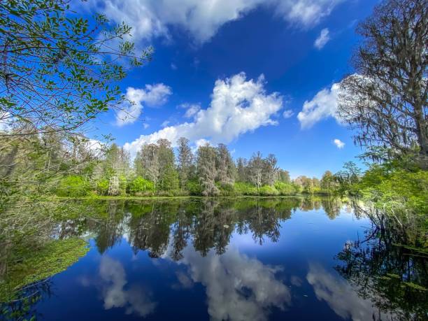 istock Clouds and trees reflecting on a lake in Florida 1308750142