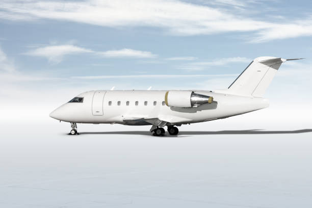 istock Modern white corporate business jet isolated on bright background 1308755431