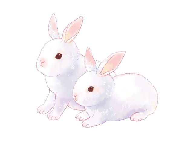 1,157 Two Rabbits Illustrations & Clip Art - iStock | Bunnies, Two animals,  Rabbit ears