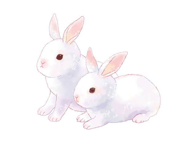 1,400+ Two Rabbits Illustrations, Royalty-Free Vector Graphics & Clip ...