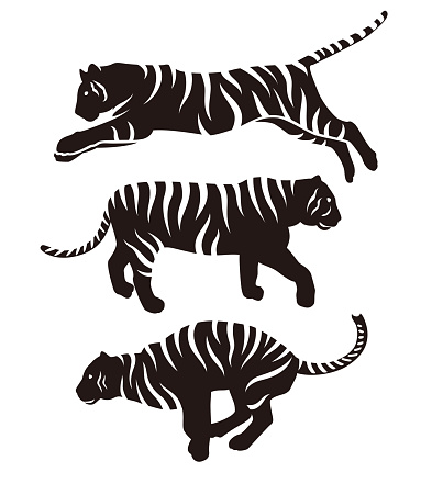 Tiger Silhouette illustration set
