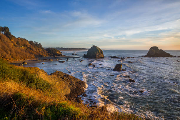 istock Beautiful Pacific coastline in sunset 1308764332