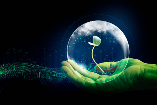 cerchio di tenuta delle mani e albero contro la natura su foglia verde con icone fonti energetiche acqua e rete digitale. illustrazione 3d - salva la terra. concetto di ambiente - human hand digitally generated image energy green foto e immagini stock