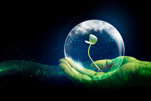 Hand holding circle and tree against nature on green leaf with icons energy sources water and digital network. 3d illustration - Save Earth. Environment Concept stock photo