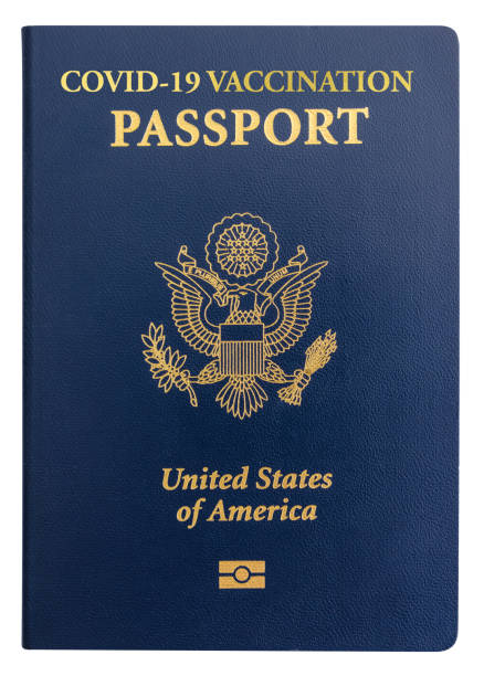 istock Covid-19 Passport 1308774648
