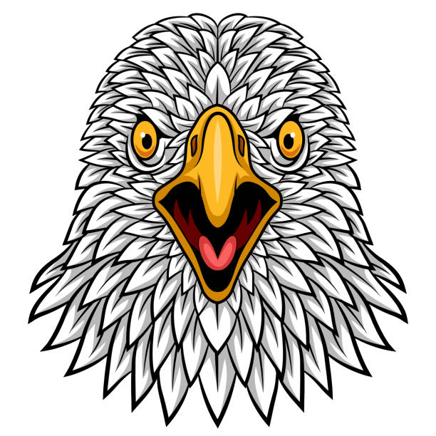 ilustraciones, imágenes clip art, dibujos animados e iconos de stock de mascota cabeza de águila de dibujos animados - the phoenix of wits