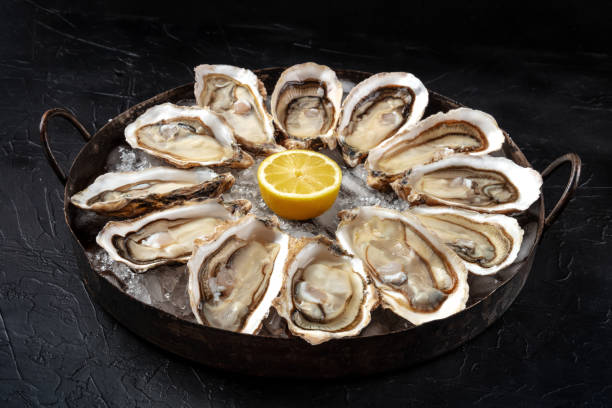 istock Oysters. A dozen of oysters on a copper platter 1308783417