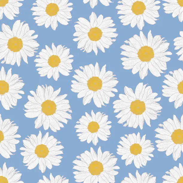 Vector illustration of Vector seamless pattern of yellow and white chamomile flowers on light blue background