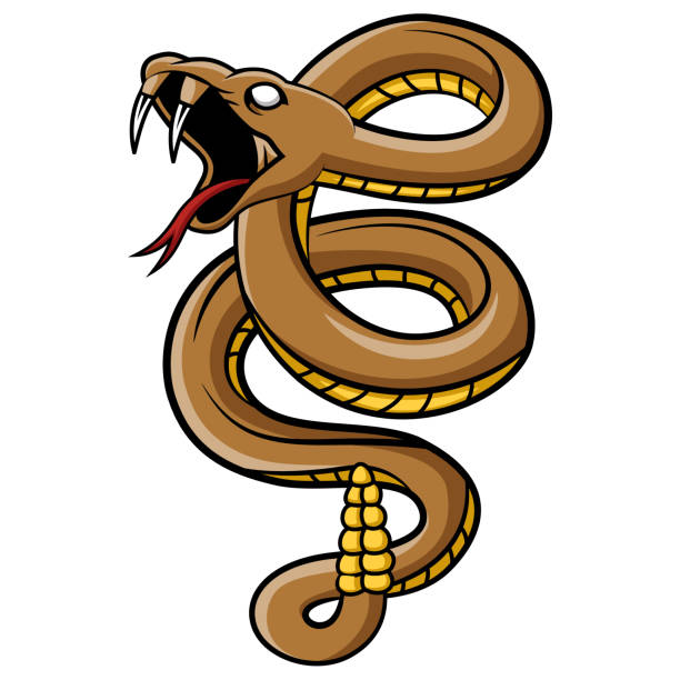 illustrazioni stock, clip art, cartoni animati e icone di tendenza di spaventoso cartone animato mascotte serpente vipera - snake rattlesnake poisonous organism fang