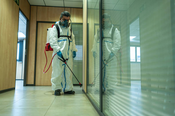 Fumigator sanitizing, cleaning and disinfection. Coronavirus pandemic professional control. Fumigator sanitizing, cleaning and disinfection. Coronavirus pandemic professional control. insecticide photos stock pictures, royalty-free photos & images