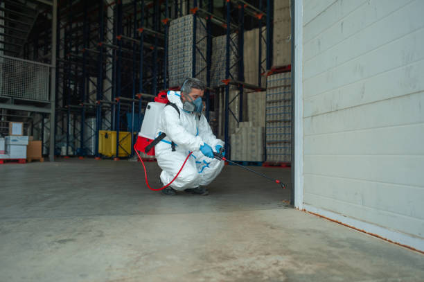 Fumigator sanitizing, cleaning and disinfection. Coronavirus pandemic professional control. Fumigator sanitizing, cleaning and disinfection. Coronavirus pandemic professional control. pest control photos stock pictures, royalty-free photos & images