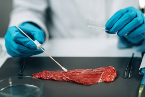 istock Food Quality Assessment. Microbiologist Sampling Red Meat Surface with Cotton Swab 1308791399