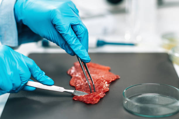istock Food Quality Control - Red Meat 1308793125