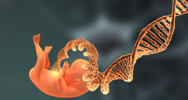 concepto científico de feto humano y adn - dna science child education fotografías e imágenes de stock