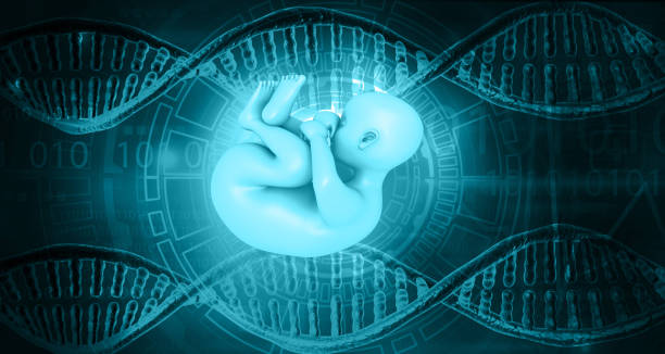 foetus humain et concept scientifique d’adn - dna science child education photos et images de collection