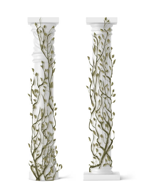 Ivy on marble column, vines with green leaves Ivy on marble column, vines with green leaves climbing on antique stone pillars, creeper plant isolated on white background, decorative architecture design elements, Realistic 3d vector illustration natural column stock illustrations