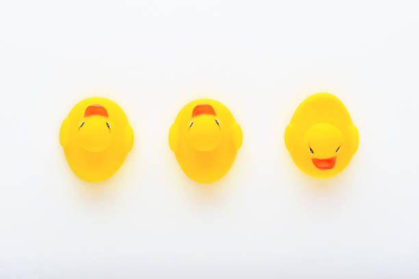 istock three yellow toy rubber ducklings on white background 1308802444