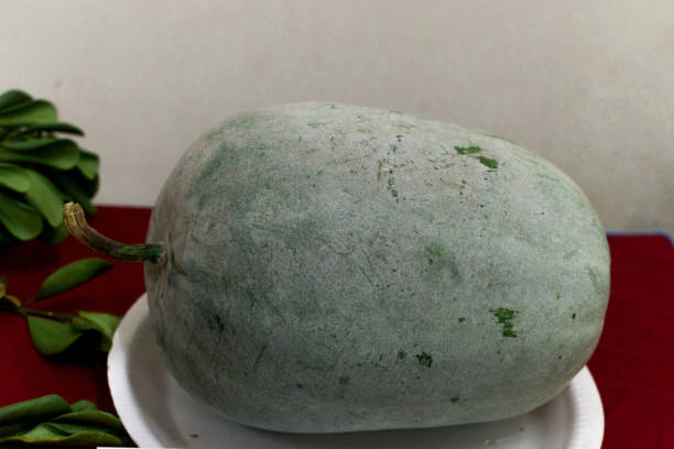 primo piano colpo di cera zucca vegetale su un piatto - white gourd foto e immagini stock