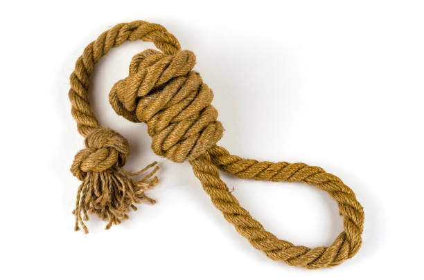 istock Hemp rope tied in a loop on a white background. 1308804828