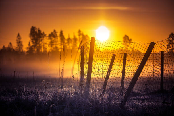istock A beautiful misty morning in the spring. Sun shining throught the mist. Soft, warm, diffused light over the springtime landscape. 1308805127