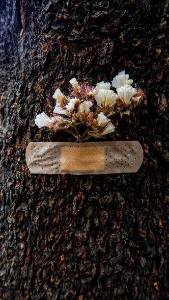 istock Band Aid on a tree with flowers 1308815335